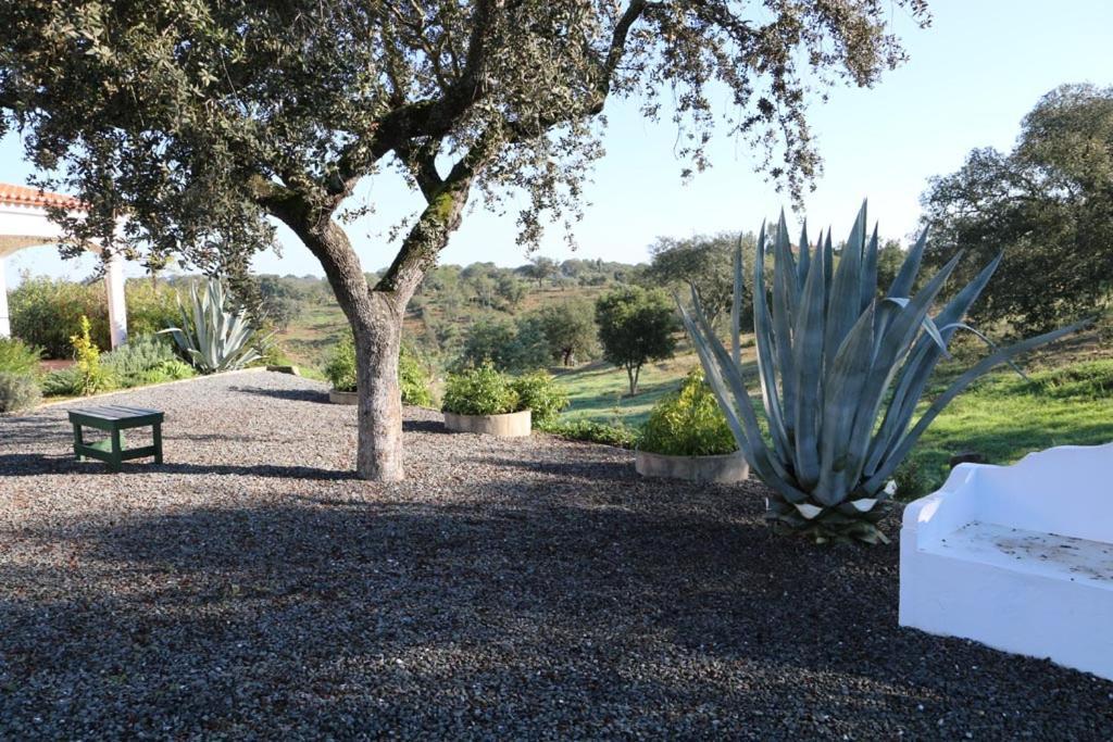 Monte Novo da Sobreira, rust en ruimte in zuid Alentejo Ourique Exterior foto